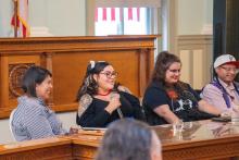 Indigenous Artists at Capitol